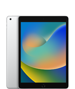 iPad (9th generation)