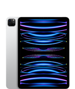 iPad Pro 11-in. (4th generation)